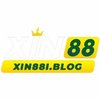 Avatar of Xin88