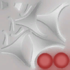 Avatar of ChickenGunner