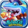 Avatar of BANCA ORG