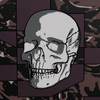 Avatar of Occam