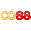 Avatar of co88in1
