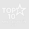 Avatar of top10nhacaiuytinvip