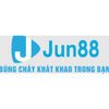Avatar of jun88hockey