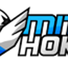 Avatar of mitrahoki