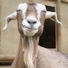 Avatar of B0ck