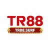 Avatar of TR88