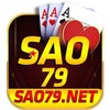 Avatar of Sao79