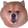 Avatar of kayc33