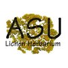 Avatar of Arizona Lichens