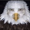 Avatar of j0hnroebvck