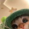 Avatar of YuwanOvO