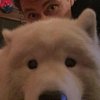 Avatar of Stephen Makes A Thing