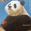 Avatar of honghoa2311