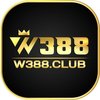 Avatar of W388