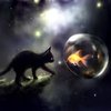 Avatar of black_emo_cat