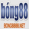 Avatar of bong8888net