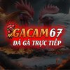 Avatar of GACAM67