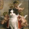 Avatar of Daniel Wilkes