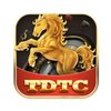 Avatar of TDTC Club