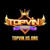 Avatar of topvinusorg