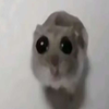 Avatar of SUPA SOYA