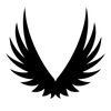 Avatar of Valkyrie16