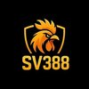 Avatar of SV388 Trang đá gà trực tuyến uy tín