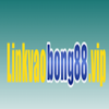 Avatar of LINK VÀO BÓNG88