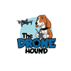 Avatar of TheDroneHound