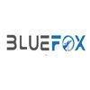 Avatar of bluefoxto