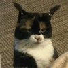 Avatar of jeff11