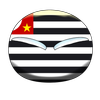 Avatar of Paulista mole