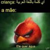 Avatar of TONINHO