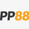 Avatar of pp88線上娛樂平台 百家樂、足球投注 外圍網上賭場首選