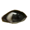 Avatar of eye