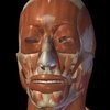 Avatar of supracaine
