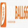 Avatar of dooball66