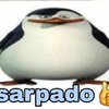 Avatar of EnderMonke