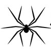 Avatar of Sp5derClothes