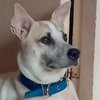 Avatar of LuckyMe_2022