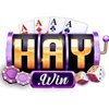 Avatar of Haywin – Nền Tảng Giải Trí Trực Tuyến
