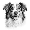 Avatar of zoomart.kz