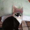 Avatar of kisikmeww