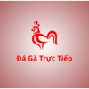 Avatar of Đá gà trực tiếp