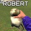 Avatar of Ratrobert