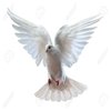 Avatar of el aguila 1