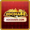 Avatar of Xocdia89 Com