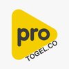 Avatar of ProtoGel Bandar Togel Online