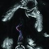 Avatar of Gustavo.Fonseca1