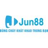 Avatar of jun88kingcomm